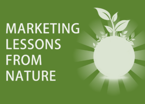marketing lessons from nature