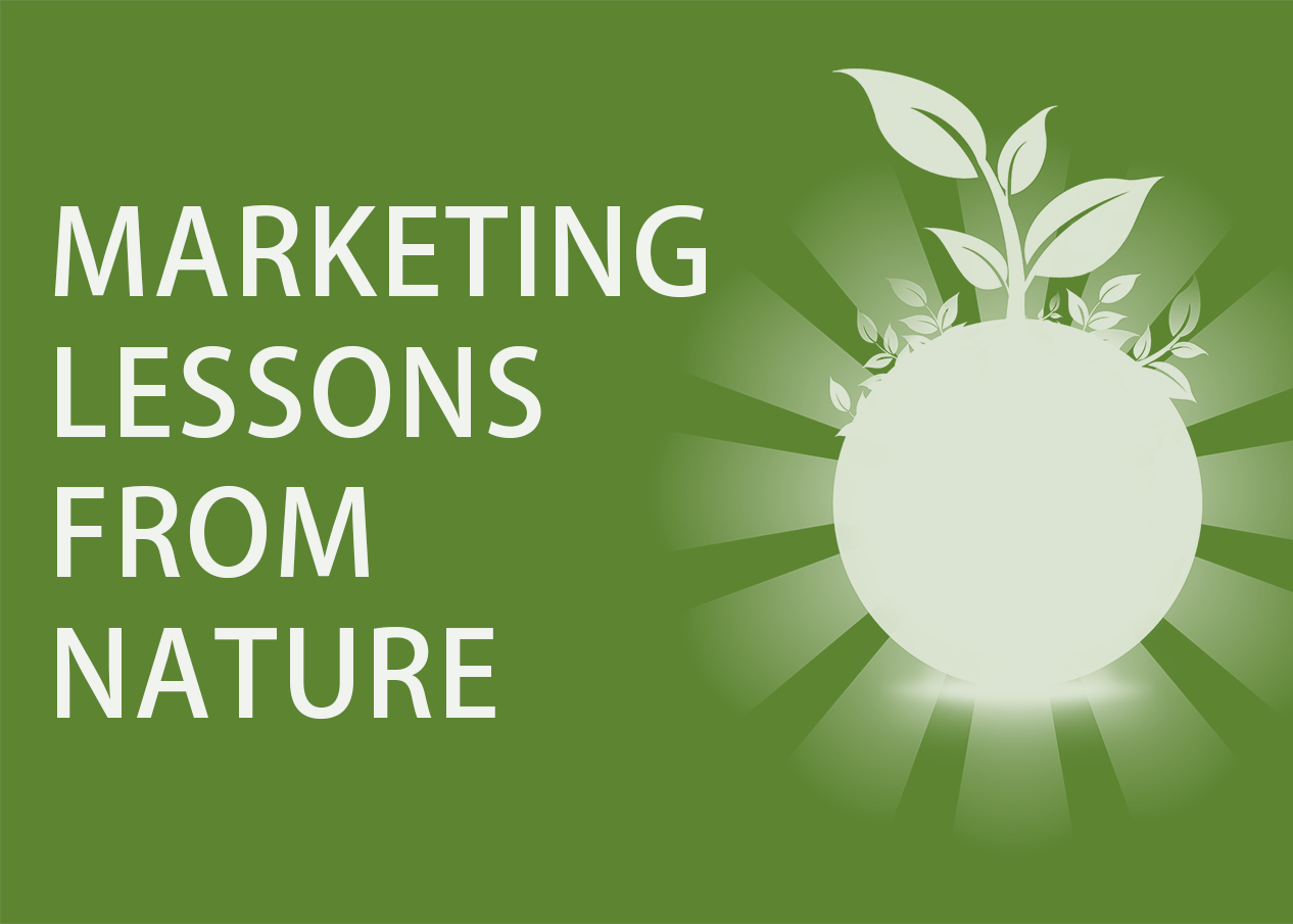 You are currently viewing 7 Genius Marketing Lessons From Nature: The Best Marketing Guru