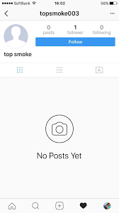 fake instagram followers