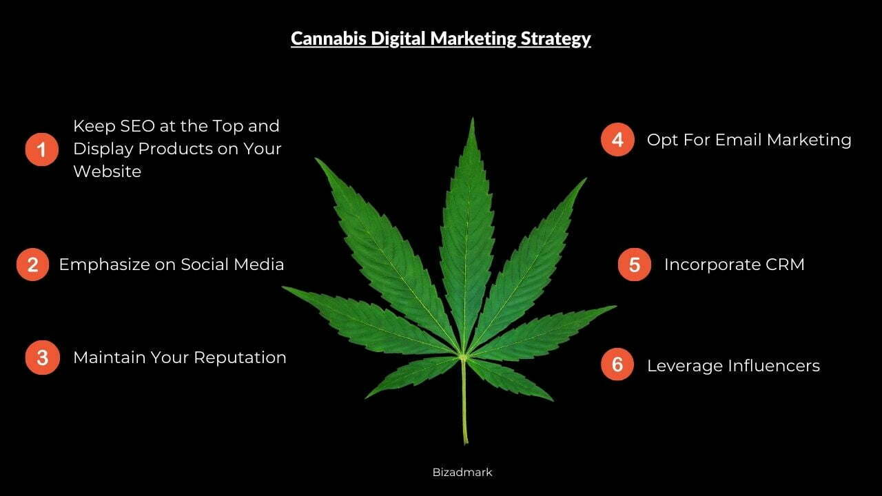 Cannabis Digital Marketing Strategy 6 Things You Need to Know