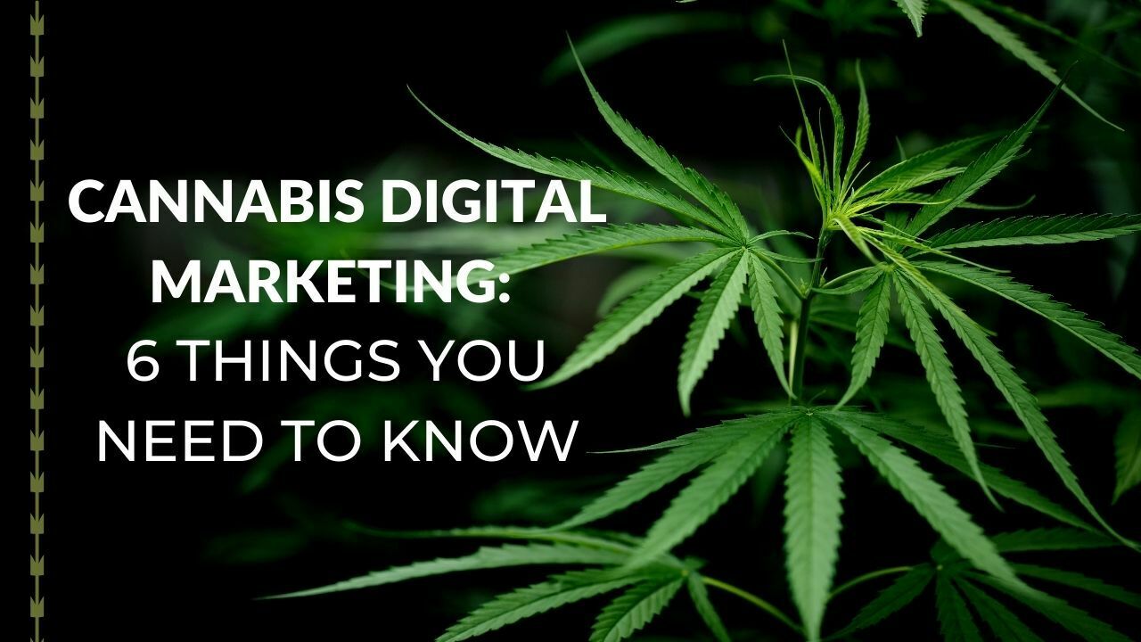 Cannabis Digital Marketing Strategy 6 Things You Need to Know