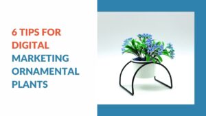 Read more about the article 6 Tips for Digital Marketing Ornamental Plants